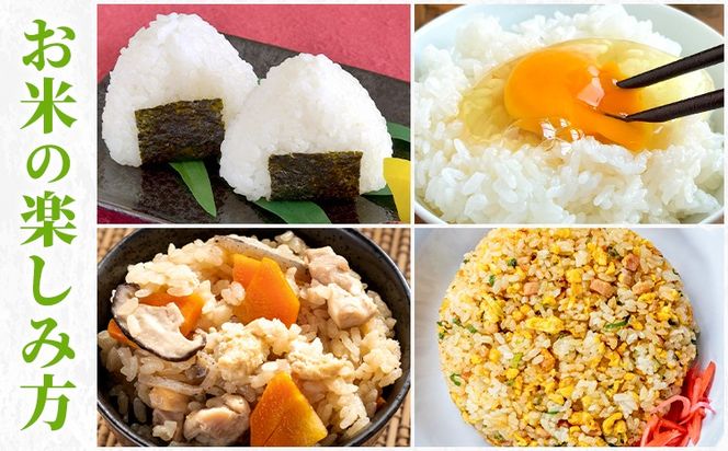 白米 5kg 10kg さこんたろう《90日以内に発送予定(土日祝除く)》熊本県 御船町 コメ おこめ 白米 ごはん 熊本県産---mifune_skt_1_5kg---