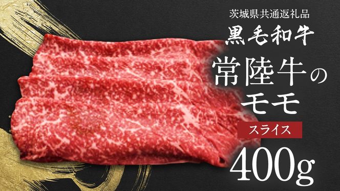 y錧}szy JAk z 헤  XCX 400g 錧ʕԗi  a Y 錧Y [AE042ci]