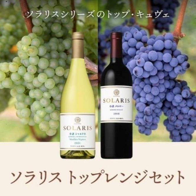 ワイン 信州ワイン 赤 白 ソラリス トップレンジセット ワインセット 赤ワイン 白ワイン シャルドネ メルロー 果実味 酸味 トースト香 スパイス 果実味 タンニン