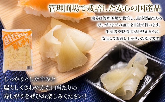 ガリ 1kg×3袋 【7日程度で発送】国産黄金生姜使用 寿司 送料無料 生姜 ジンジャー ガリ がり 寿司がり 寿しがり お寿司 付け合せ 漬物 漬け物 国産 特産品 黄金しょうが しょうが ショウガ 高知県産 坂田信夫商店 高知県 香南市 常温 Xnb-0012