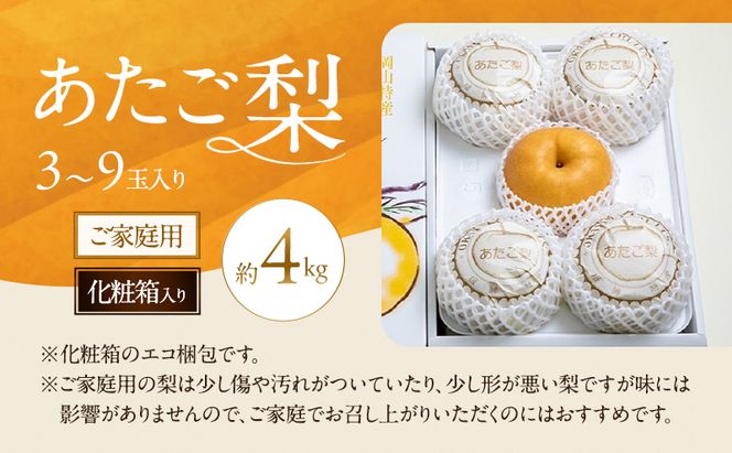 梨 2026年 先行予約 ご家庭用 あたご梨 3～9玉入り約4kg 化粧箱【11月下旬～12月中旬頃発送】 ナシ なし 岡山県産 国産 フルーツ 果物 石原果樹園 