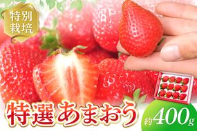【先行予約受付中】【2026年12月以降順次発送】特別栽培特選あまおう400g【うるう農園】_AS1969-00