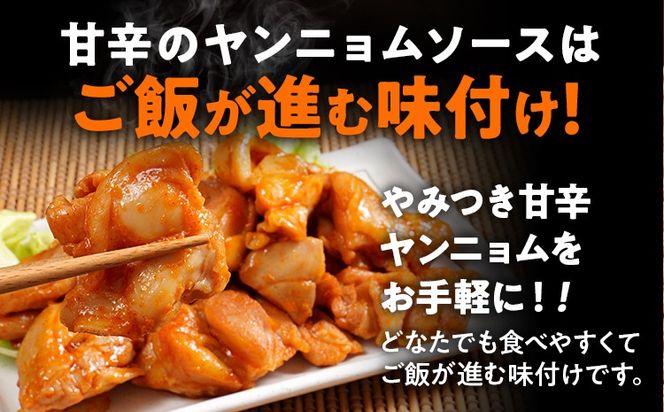 ヤンニョムチキン 1.2kg 味付き タレ漬け 甘辛 鶏肉 モモ 冷凍 簡単調理 惣菜 おかず お取り寄せ グルメ 福岡