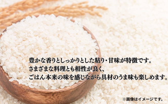 米 静岡コシヒカリ 5kg コシヒカリ お米 白米 コメ 静岡県産