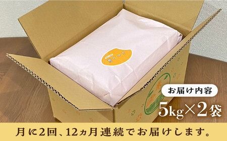 【月2回お届け】【全24回定期便】いとし米 厳選ひのひかり 10kg 12ヶ月コース(糸島産) 糸島市 / 三島商店[AIM059] 白米米 白米お米 白米ご飯 白米ひのひかり 白米ヒノヒカリ 白米九州 白米福岡 白米5キロ 白米ギフト 白米贈り物 白米贈答 白米お祝い 白米お返し 白米定期便