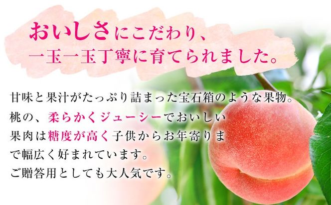 【先行予約】和歌山県産 あら川の桃 秀品 約4kg (12玉～16玉) 前商店《6月末-8月上旬頃出荷》和歌山県 紀の川市 もも モモ 果物 フルーツ---wsk_cmes8_6m8j_24_26000_4kg---