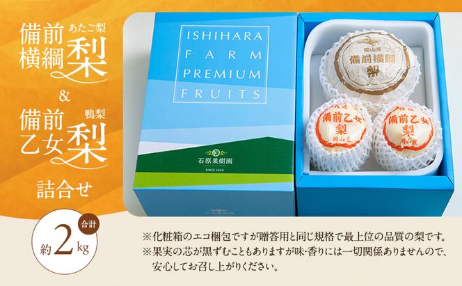 梨 2026年 先行予約 備前横綱梨（あたご梨） 1玉( 1～1.5kg)・備前乙女梨（鴨梨） 2～3玉 詰合せ 合計約2.0kg【11月下旬～12月中旬頃発送】 岡山県産 フルーツ ギフト 石原果樹園