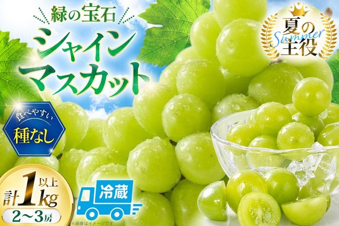 【2026年発送】 シャインマスカット 先行予約 頬張る幸福感 ～緑の宝石・シャインマスカット～ 1kg 以上 (2～3房) [REGALO 山梨県 韮崎市 20745410] シャイン マスカット ブドウ ぶどう 葡萄 フルーツ 果物 くだもの 1キロ 山梨