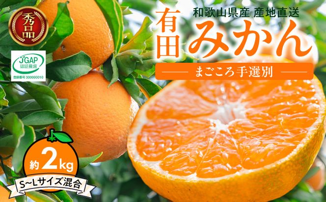 ZE6418_【2026年先行予約】【秀品】和歌山県産　有田みかん 約2kg （S～Ｌサイズ混合）【まごころ手選別】