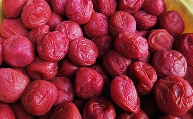 梅干し 600g (300g×2袋) 若狭のすっぱい梅干し 紅映梅 うめ ウメ 梅 酸っぱい梅干し 昔ながらの梅干し 昔ながら うめぼし ご飯のお供 ごはんのお供 おにぎりの具 福井 福井県 若狭町