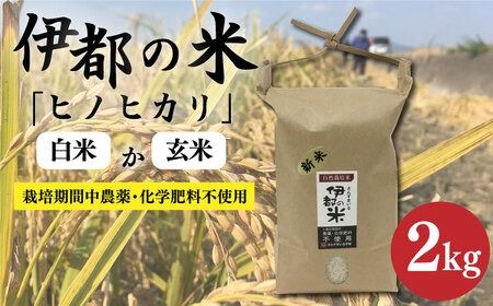 [令和5年産]伊都の米 ( ヒノヒカリ ) 2kg 糸島市 / 伊都福祉サービス協会 [APL001] 米 白米 玄米