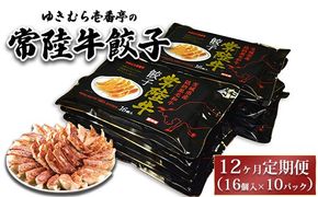 【12ヶ月定期便】ゆきむら壱番亭の常陸牛餃子10パック(160個入り) ※離島への配送不可