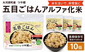 宮城県大河原町産つや姫のアルファ化米 五目ごはん 100g 10袋セット お米 長期保存 非常食 アルファ米 ご飯 ごはん 防災食 備蓄 保存食 常温 つや姫