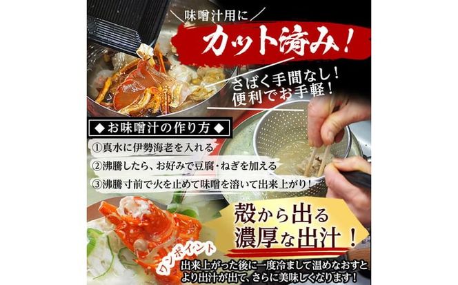 【数量限定】鹿児島県志布志湾産 カット済み天然伊勢海老＜味噌汁用＞計540g(270g×2P) b5-204