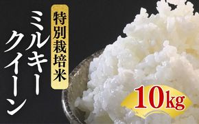 ミルキークイーン＜特別栽培米＞精米 10㎏（減農薬 有機肥料 お米 米 おこめ こめ 白米 みるきーくいーん）【002310】