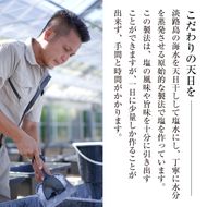 淡路島海塩 TEN-PI-EN 大粒パウダーセット 50g×4袋