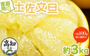 文旦 家庭用 3kg 大小混合(サイズ：L～3L) 高知 大玉 小玉 混合 訳あり 傷 果物 土佐文旦 ぶんたん ブンタン フルーツ 柑橘 香南市産 高知県 数量限定 期間限定 季節限定 旬 常温 10000円以下 1万円以下 yk-0083