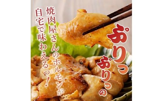 【岩井畜産直営】煉屋のホルモンセット!