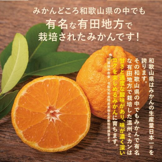 【先行予約】高級ブランド紀州和歌山 田村地区の完熟 紀州デコ（不知火）約8kg