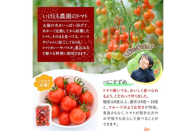 訳あり・規格外！数量限定の門川町産ミニトマト(計約4kg)フルーツトマト とまと 野菜 キャロルパッション 小鈴 プレミアムルビー アイコ ミックス 生 旬野菜 冷蔵【X-11】【いけとも農園】