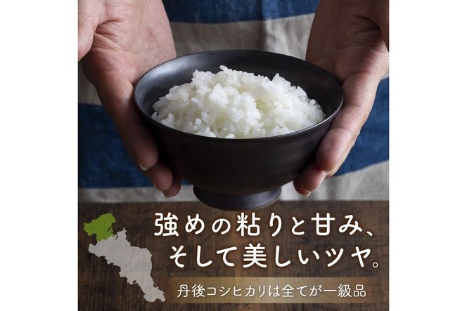 旬の野菜 5～8種詰め合わせと京都・京丹後産コシヒカリ2kgセット 国産 新鮮 お試し おまかせ お楽しみ　京野菜　朝採れ 季節の野菜 食品 お取り寄せ　お米 ごはん ご飯 こしひかり おにぎり 白米 ふるさと納税 米　TO00132