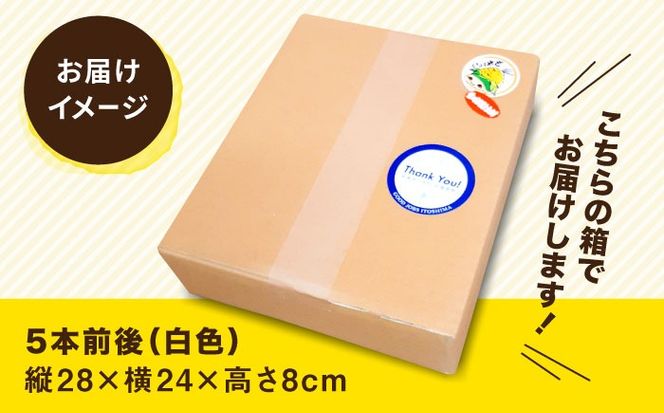 【先行予約】糸島産 トウモロコシ 「もきっこ」 白 (5本前後) 【2026年6月下旬以降順次発送】糸島市 / 内田農業 とうもろこし コーン [AZH005] とうもろこし 野菜 コーン スイートコーン 甘い ホワイト 白 トウモロコシ