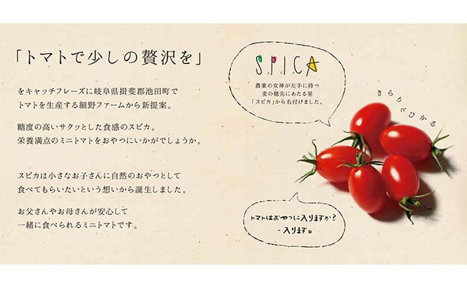 HOSONOFARMプレミアムミニトマト「スピカ」1kg 野菜 