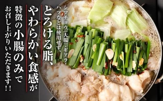 【2026年12月9日迄に入金確認で年内発送】 特選 もつ鍋 セット 3人前 【お試しサイズ】 醤油スープ モツ もつ 小腸 醤油 ちゃんぽん麺 福岡県 香春町 冷凍