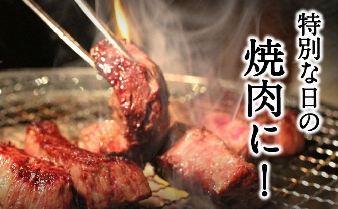 あか牛Bセット サーロインステーキ 180g×3枚 ロース 焼肉用 500g 肩もしくはももスライス 400g《30日以内に出荷予定(土日祝除く)》熊本県 氷川町 肉 牛 牛肉 株式会社有佐スーパー---hkw_26_ars_2_b---