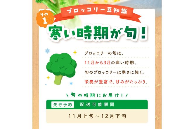 【先行予約】もりもり！ブロッコリー 約2kg（2026年11月上旬～発送）　MY00019