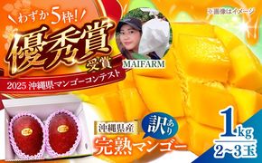 【優秀賞受賞】沖縄県産 完熟マンゴー 訳アリ 1kg (2〜3玉) マンゴー 沖縄 果物 フルーツ ギフト 沖縄市 / MAIFARM[BCAN003]