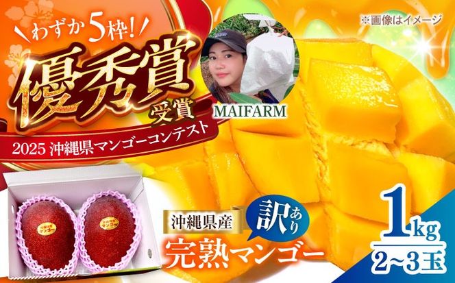 【優秀賞受賞】沖縄県産 完熟マンゴー 訳アリ 1kg (2〜3玉) マンゴー 沖縄 果物 フルーツ ギフト 沖縄市 / MAIFARM[BCAN003]