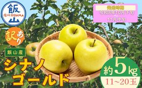 【先行予約丨2026年10月下旬より順次発送】訳あり シナノゴールド【約5kg(11〜20玉)】(At-024)