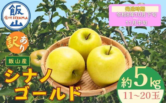 【先行予約丨2026年10月下旬より順次発送】訳あり シナノゴールド【約5kg(11〜20玉)】(At-024)