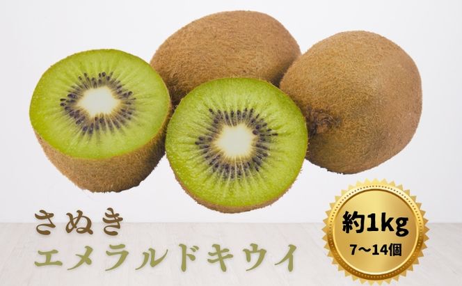 キウイ さぬきエメラルドキウイ 約1kg 果物 フルーツ
