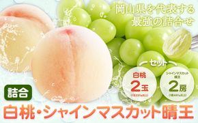 【2026年先行予約】桃 ぶどう 詰合 岡山白桃 2玉(1玉220g以上) シャインマスカット 晴王 2房(1房480g以上) 化粧箱入り 株式会社山博《2026年7月下旬-8月中旬頃出荷》岡山県 笠岡市 フルーツ 果物 葡萄 マスカット もも お取り寄せ【配送不可地域あり】---Y-33a---