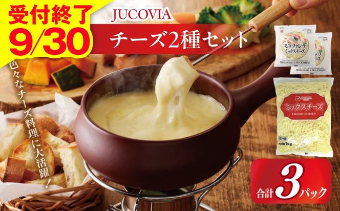 099H3528 【9/30受付終了】JUCOVIA ミックスチーズ 1kg×1P・モッツァレラミックスチーズ 170g×2P【ムラカワチーズ 食べ比べ セット 詰め合わせ 小分け 普段使い 高評価 ちーず】