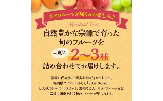 何が届くかお楽しみ！むなかた旬のフルーツ福袋セット【JAほたるの里】_HA1541