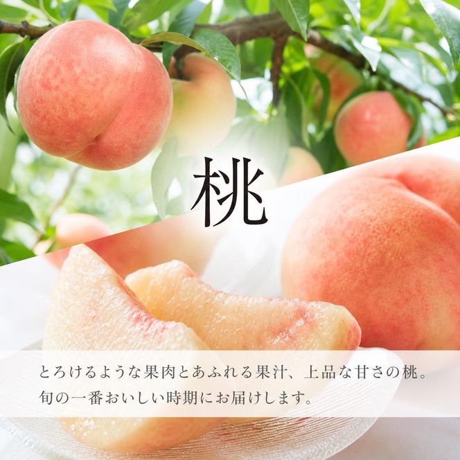 全2回 フルーツ定期便（桃3玉 8月、梨3玉 9月発送） ｜ 和歌山県産 モモ ナシ 旬 果物