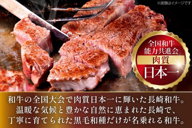 AJ536 【6回定期便】長崎和牛 ヒレ ステーキ 約300g (150g×2枚) [ 肉 牛肉 和牛 高級 おいしい ステーキ肉 まるしん商会 黒牛 長崎県 島原市 ]