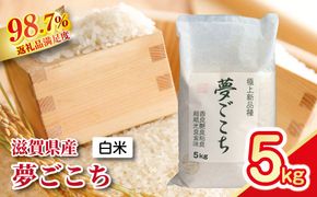 【新米】令和8年産 近江米夢ごこち【5kg×1袋】【T034W4】（滋賀県　近江八幡市）