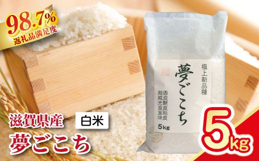 【新米】令和8年産 近江米夢ごこち【5kg×1袋】【T034W4】（滋賀県　近江八幡市）