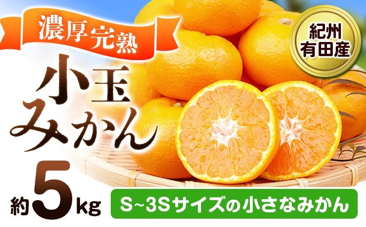 [先行予約]みかん 紀州有田産 濃厚完熟 小玉みかん 約5kg S-3Sサイズ 株式会社魚鶴商店[2025年11月下旬-12月下旬頃出荷] 和歌山県 日高川町 みかん 小玉みかん 完熟 濃厚 柑橘 小玉 小さい---wshg_uot153_11g12g_25_16000_5kg---