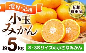 【先行予約】みかん 紀州有田産 濃厚完熟 小玉みかん 約5kg S-3Sサイズ 株式会社魚鶴商店《2025年11月下旬-12月下旬頃出荷》 和歌山県 日高川町 みかん 小玉みかん 完熟 濃厚 柑橘 小玉 小さい---wshg_uot153_11g12g_25_16000_5kg---