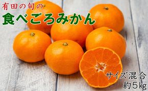 有田の旬の食べごろみかん約5kg（サイズ混合）（秀・優品混合）★2026年11月下旬頃より順次発送 BZ141