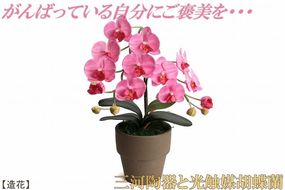 綺麗で丈夫な三河陶器で贈る光触媒胡蝶蘭小輪１本立（モカの陶器×ピンクの花）H100-105