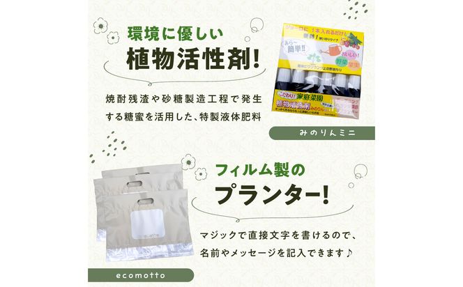 【R17024】バンブーガーデンキット