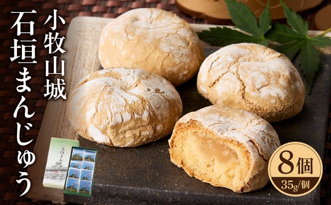 ymqszqR@Ί_܂񂶂イ m009B12n 35g × 8 ȉ~` \ aَq Ăَq َq   q َq XC[c тX  񂹃O m qs 