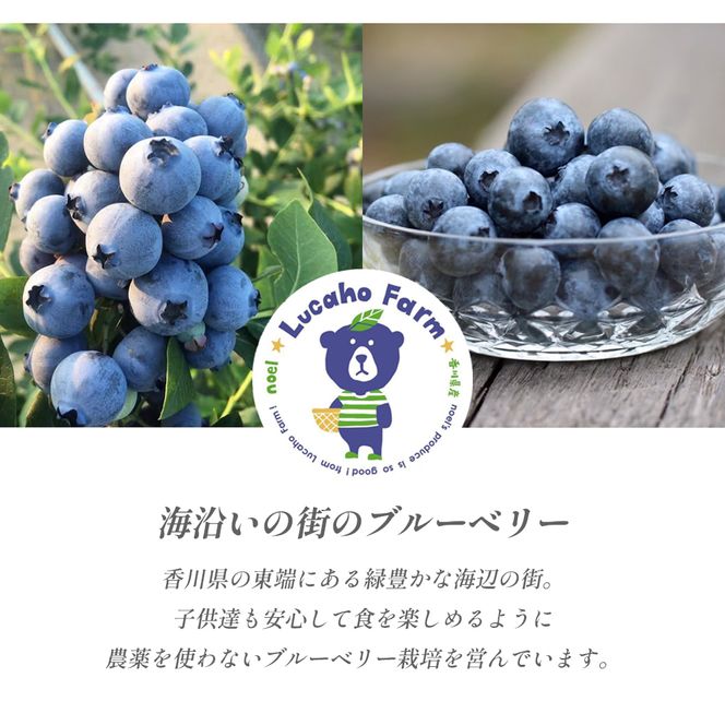 ブルーベリー Lucaho Farm 100g×5p 香川県産 冷凍ブルーベリー1kg 冷凍ブルーベリー フルーツ 果物 くだもの 旬のフルーツ 旬の果物 冷凍 香川 香川県 東かがわ市