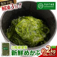 【先行予約】 めかぶ 2kg(120g×17) 冷凍 ゆで切り TVで紹介 三陸 漁師 小分け 惣菜 海藻 海産物 味噌汁 ごはん 夕飯 おかず 個包装 海藻 三陸 三陸産 雌株 無添加 岩手県 国産 大船渡